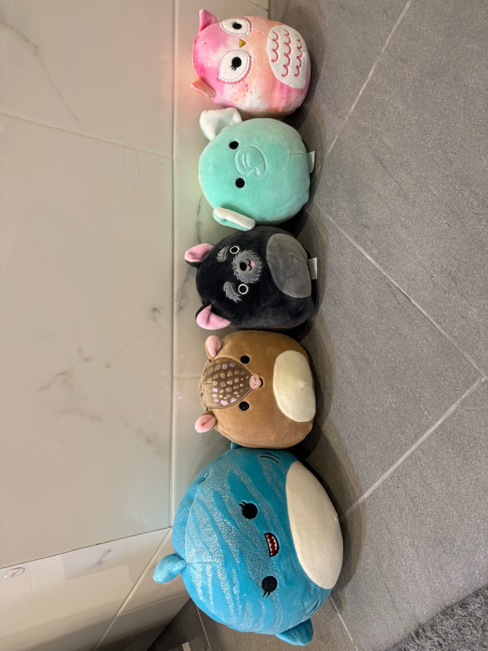 Squishmallows Multicolor Plush Set - Blue, Brown, Black, Mint, Pink